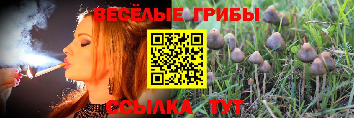 Галлюциногенные грибы GOLDEN TEACHER  Галлюциногенные грибы Cubensis  Верхний Уфалей  Вход с VPN 