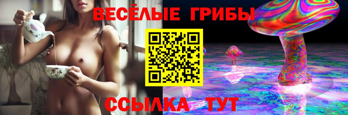 Галлюциногенные грибы Cubensis Верхний Уфалей